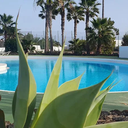 Palmeras