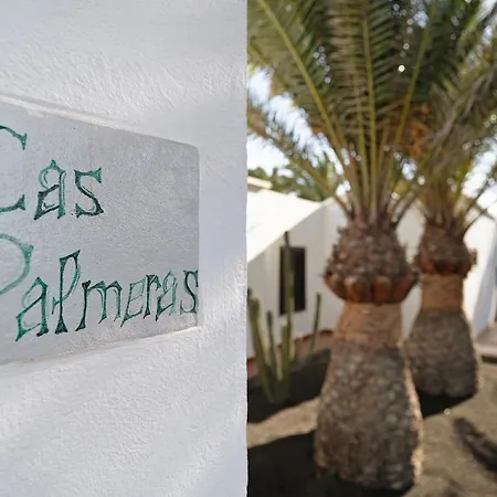 Palmeras فيلة